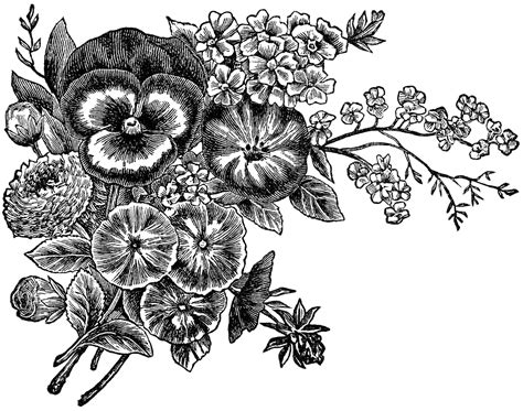 black and white floral pictures|floral graphic black and white.